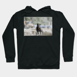 harness horse cart racing 03 Hoodie